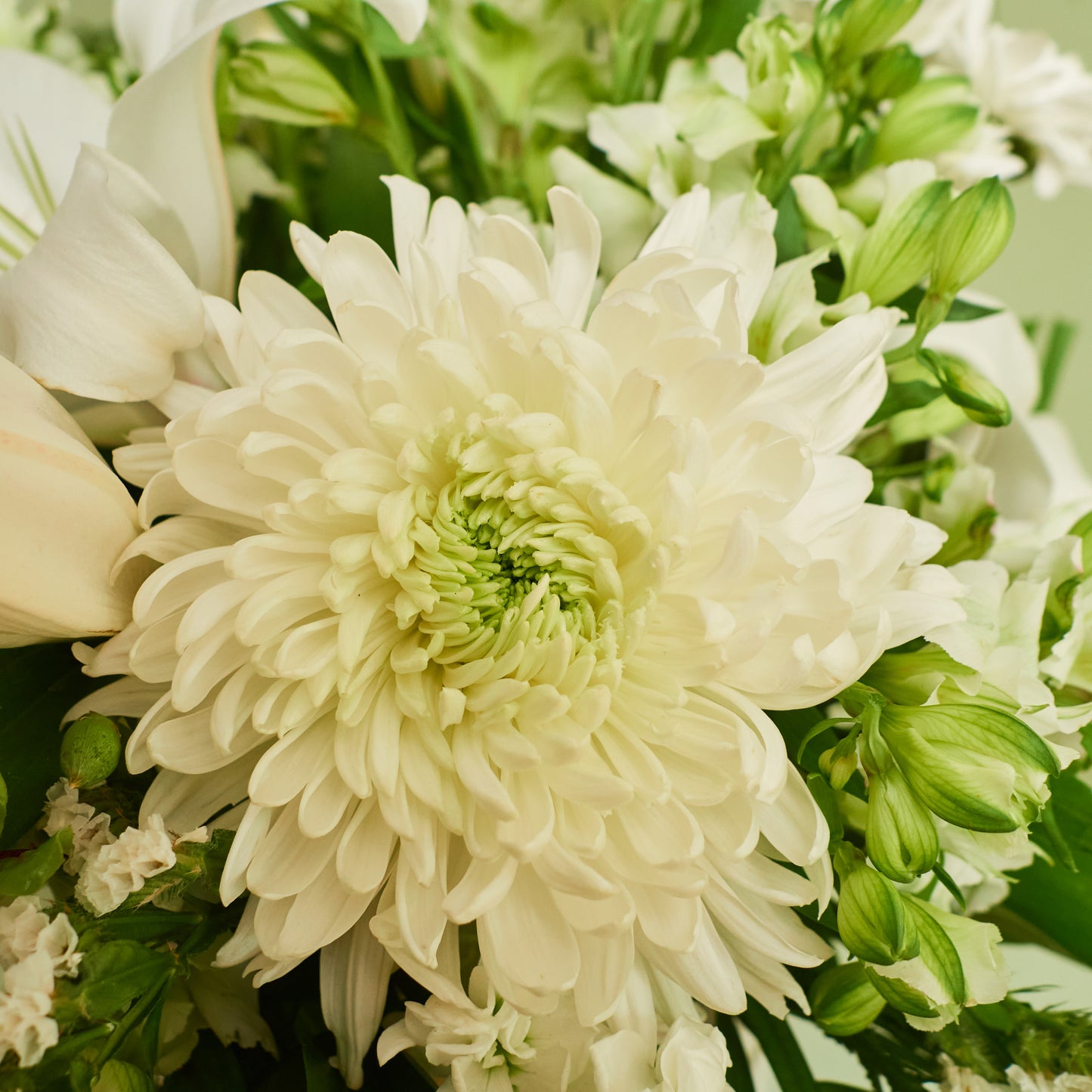 Church Arrangement